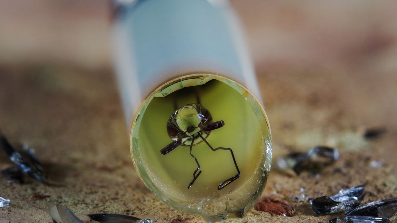 Asociația Recolamp: Aproape 2.000 de tone de deșeuri din echipamente de iluminat, colectate și reciclate în 2019