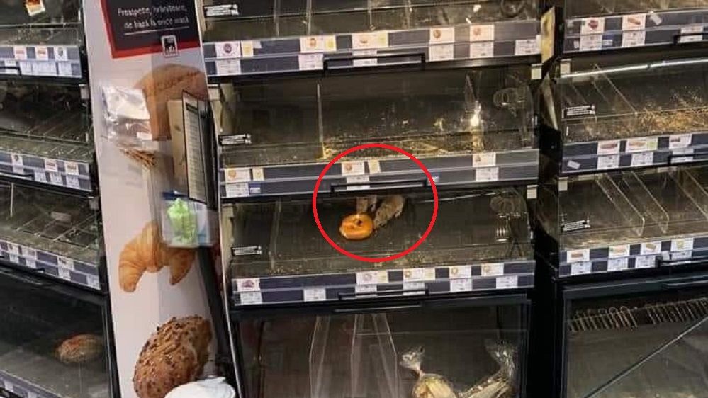 Reacția Mega Image după imaginile cu șobolanii din raionul de patiserie