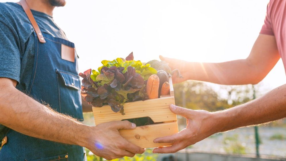 Profi lansează Proaspete de la noi, un program pentru fructe și legume care provin de la fermieri români