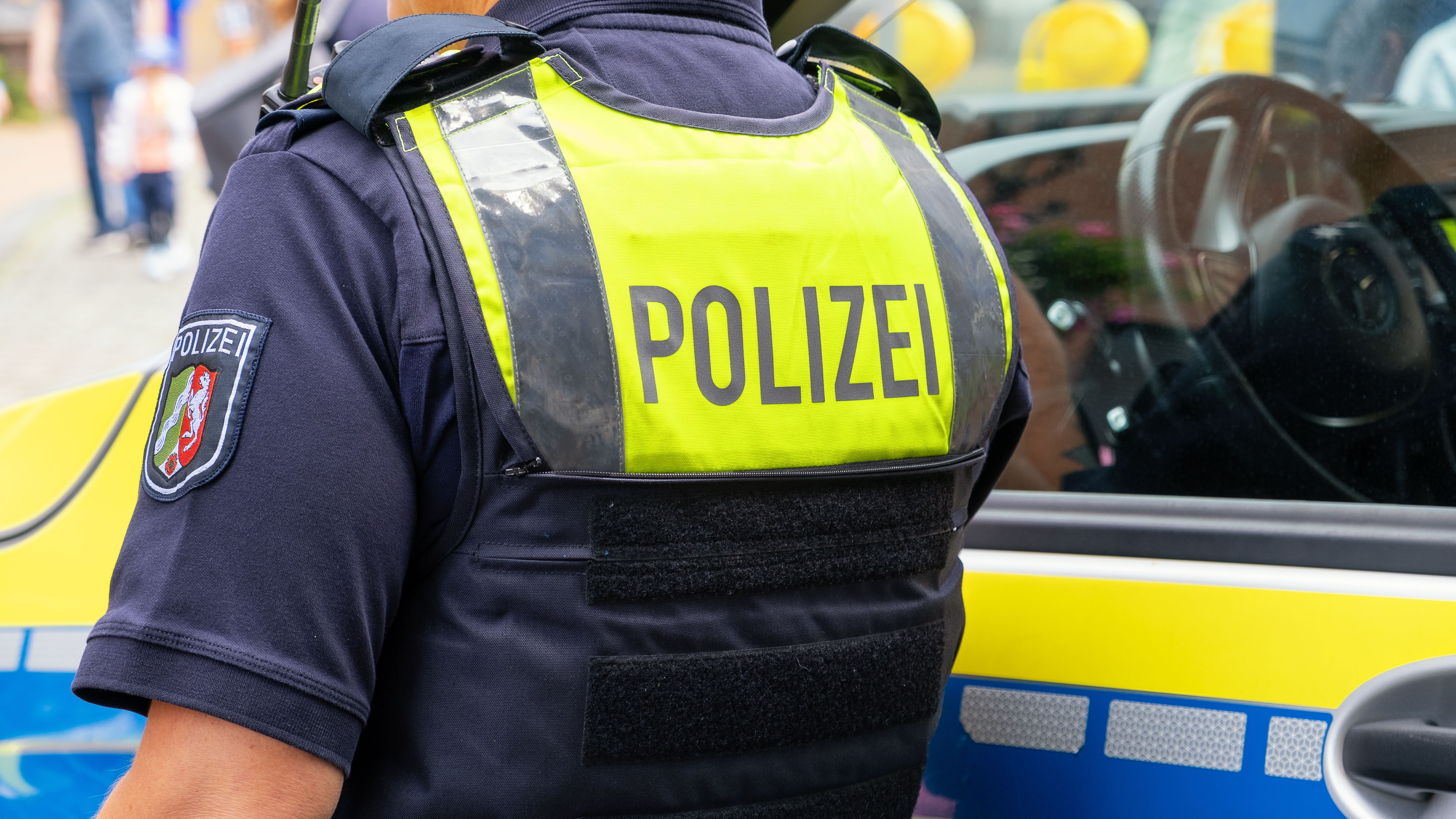 Arme ascunse într-o pădure din Germania, pregătite pentru asasinate la comanda Rusiei. Un suspect, arestat în România