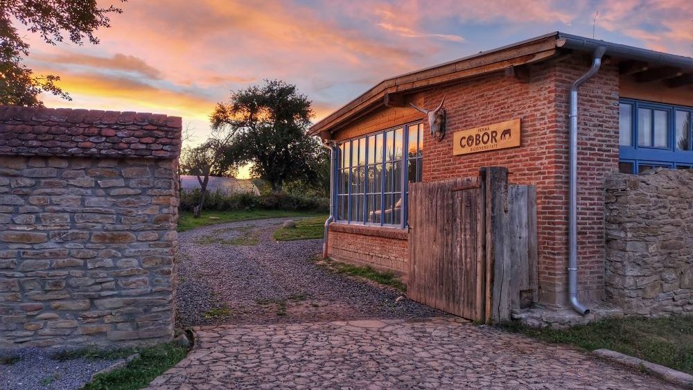 GALERIE FOTO | Ferma Cobor, locul din România care nu vrea să ajungă Poiana Brașov