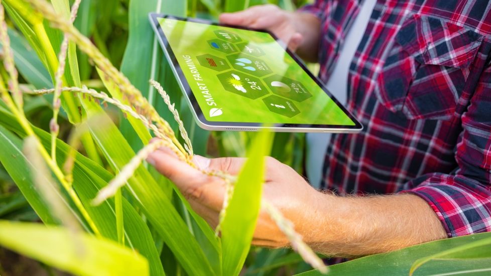 AFIR bate palma cu UiPath pentru a-i ajuta pe fermierii români să acceseze fondurile UE mai rapid