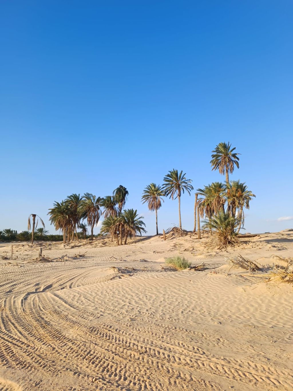 GALERIE FOTO: Vacanță în Tunisia, cu aventuri în deșert și oaze naturale, dar și cu stațiuni - Imagine 24