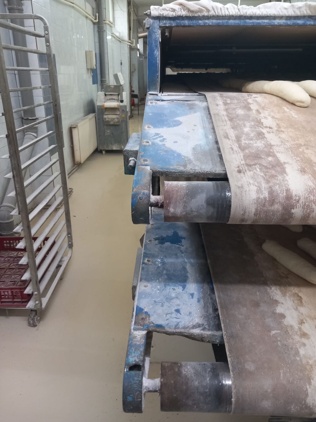 Ce a descoperit ANPC la o fabrică de pâine din București: mii de pâini retrase de la vânzare - Imagine 14