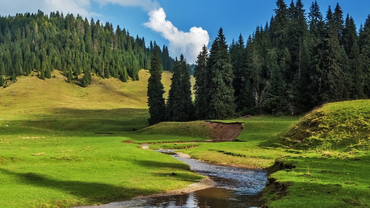 Lansarea SUMAL, amânată de Guvern pentru a treia oară în ultimele 12 luni