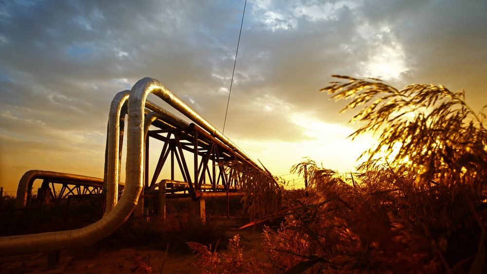 Transgaz: Profit net de 681,9 milioane lei în primele nouă luni din 2025, de aproape cinci ori peste nivelul de anul trecut