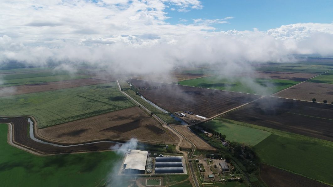 Al Dahra, compania care a concesionat Insula Mare a Brailei, anunta investitii de 500 mil. dolari in Romania