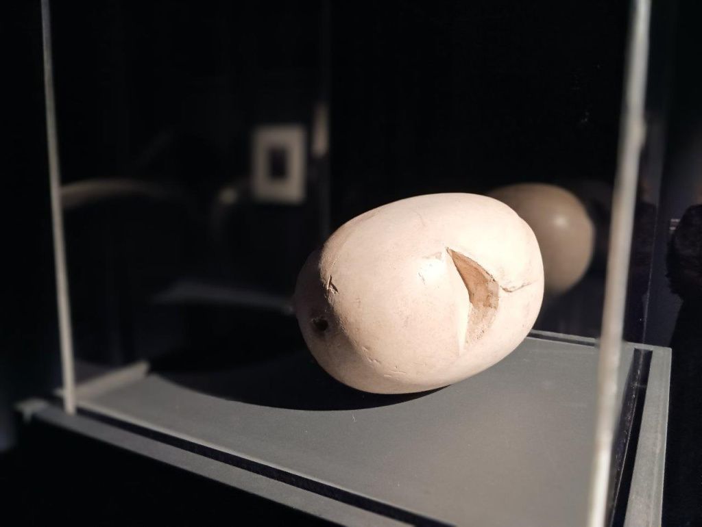 Expoziția Brâncuși de la Timișoara: capodoperele, în vizită în patria părintelui lor - Imagine 29