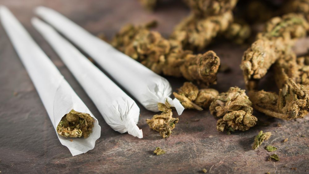 Cea mai mare captură de marijuana din istoria Braziliei