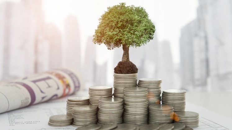 Camelia Dragoi, FEI: Un nou fond de investitii cu capital de risc dedicat startup-urilor si 2-3 destinate companiilor mature vor aparea in Romania in a doua jumatate a anului