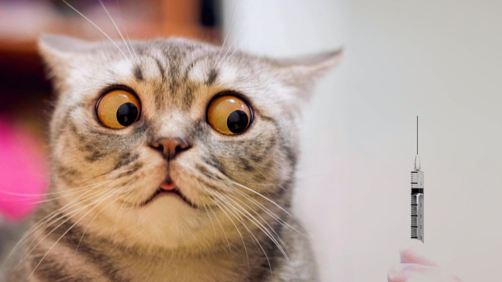 Lista țărilor în care vaccinarea este obligatorie