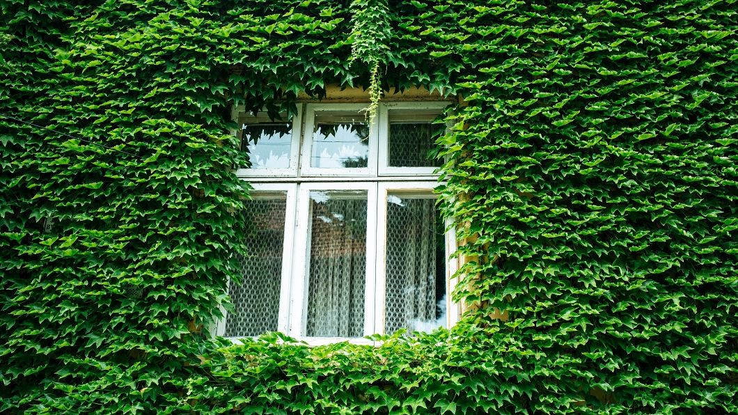 Cei ce vor o locuință verde primesc un nou tip de credit ipotecar de la BCR. Care sunt condițiile și dobânda