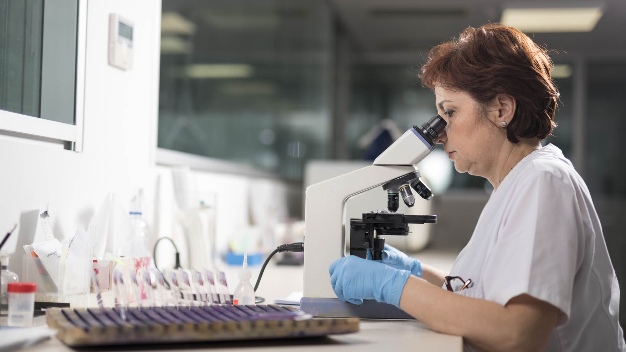 MedLife a preluat pachetul majoritar al unui laborator de anatomie patologica din Bucuresti, cu afaceri de 1,1 mil. euro in 2018