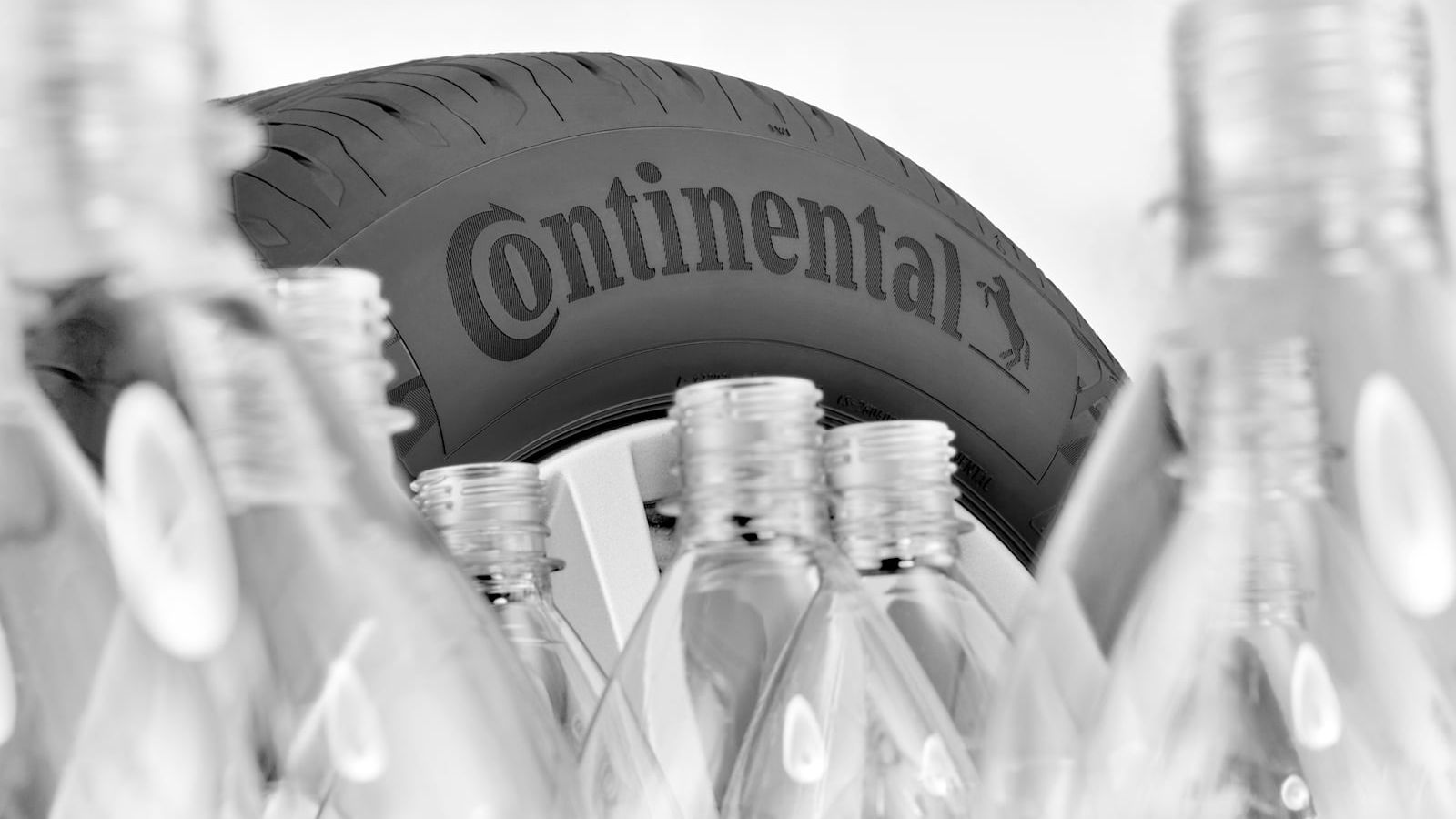 Continental va produce anvelope din cauciuc de la păpădii până în 2050