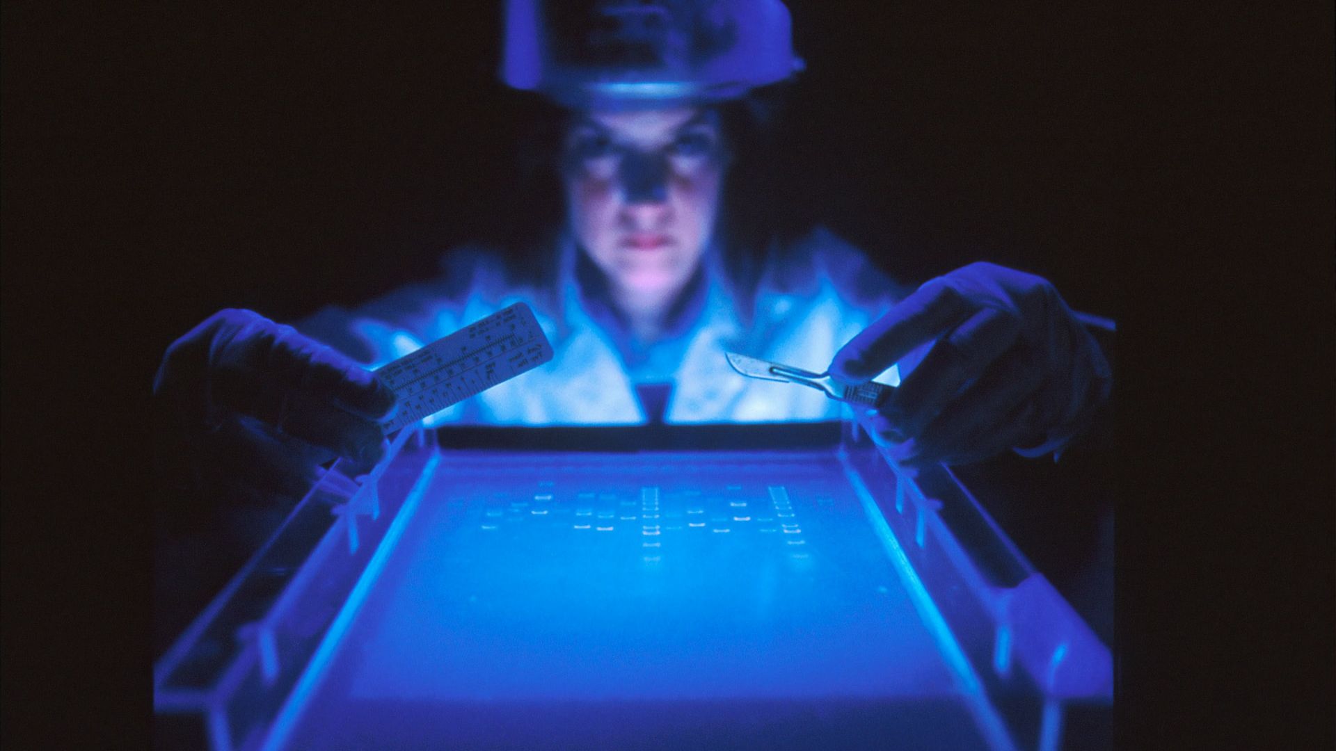 Viermi de acum 46.000 de ani, treziți la viață de oamenii de știință. ”Pot schimba modul în care definim ce însemnă a fi viu”