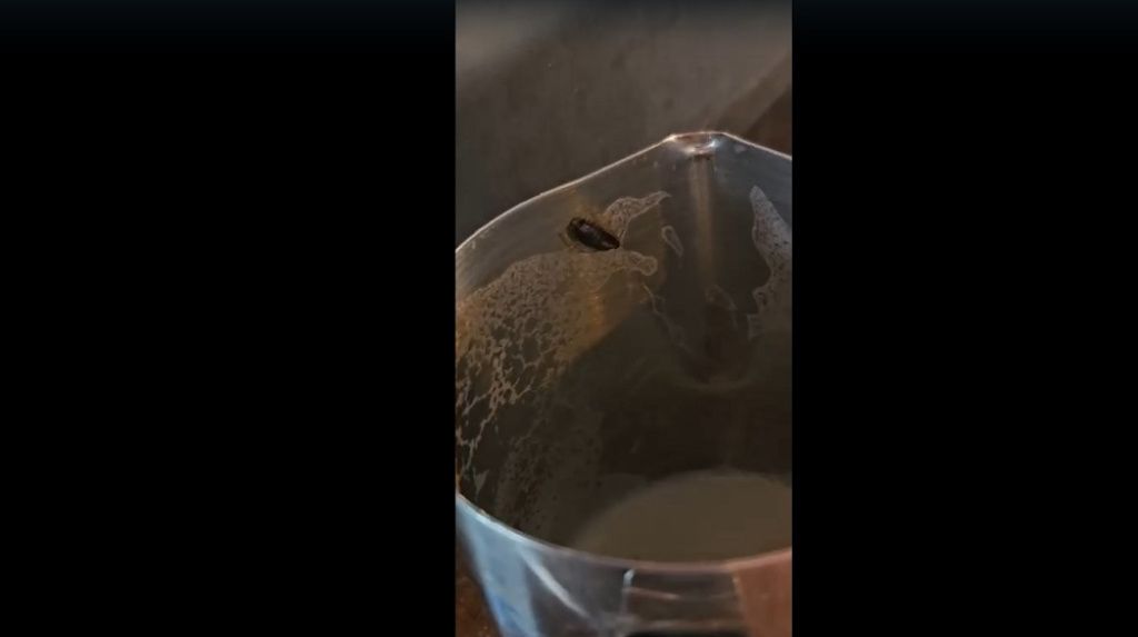 FOTO | ANPC închide temporar Berăria H. Ispectorii lui Piedone au găsit gândaci care "žstăteau - Imagine 5
