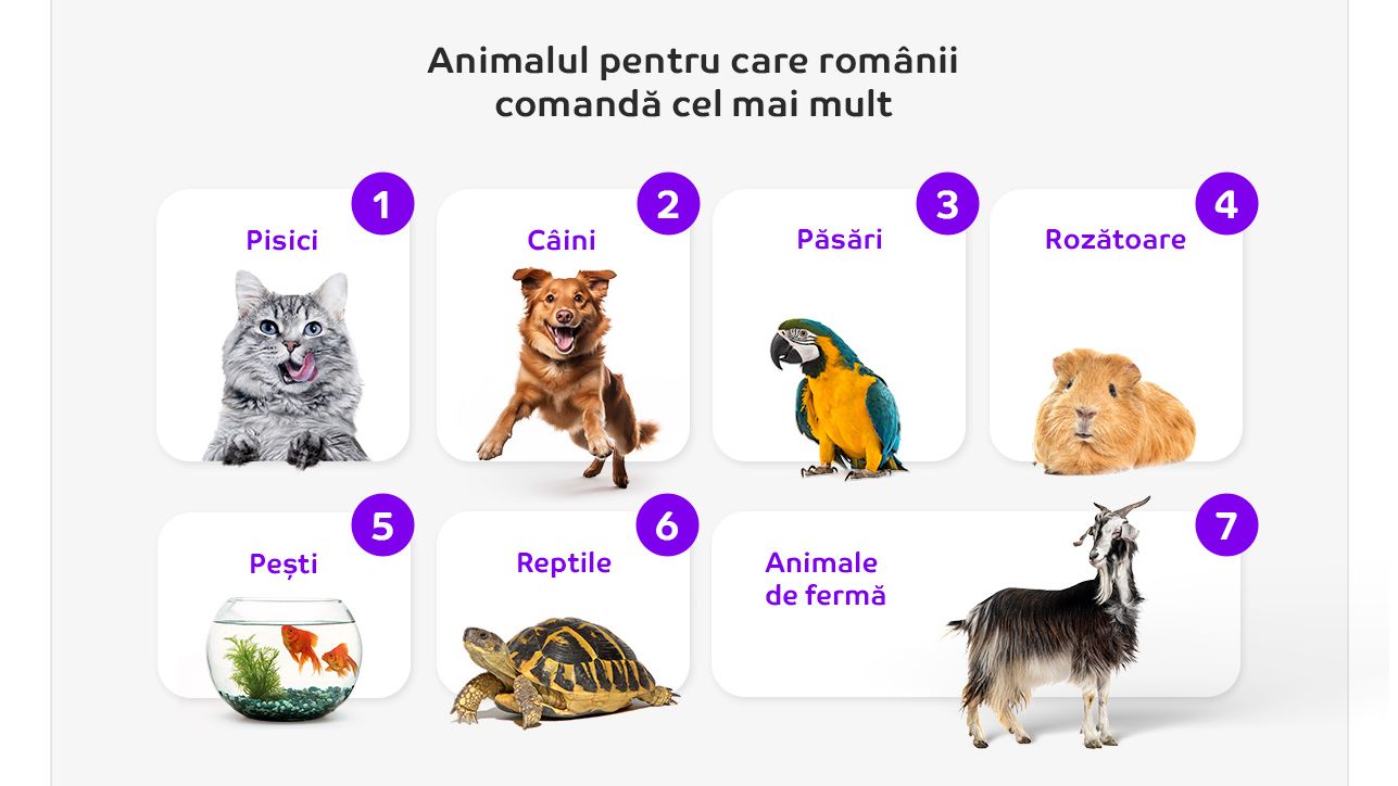 eMAG lansează Pet Shop, magazin dedicat iubitorilor de animale