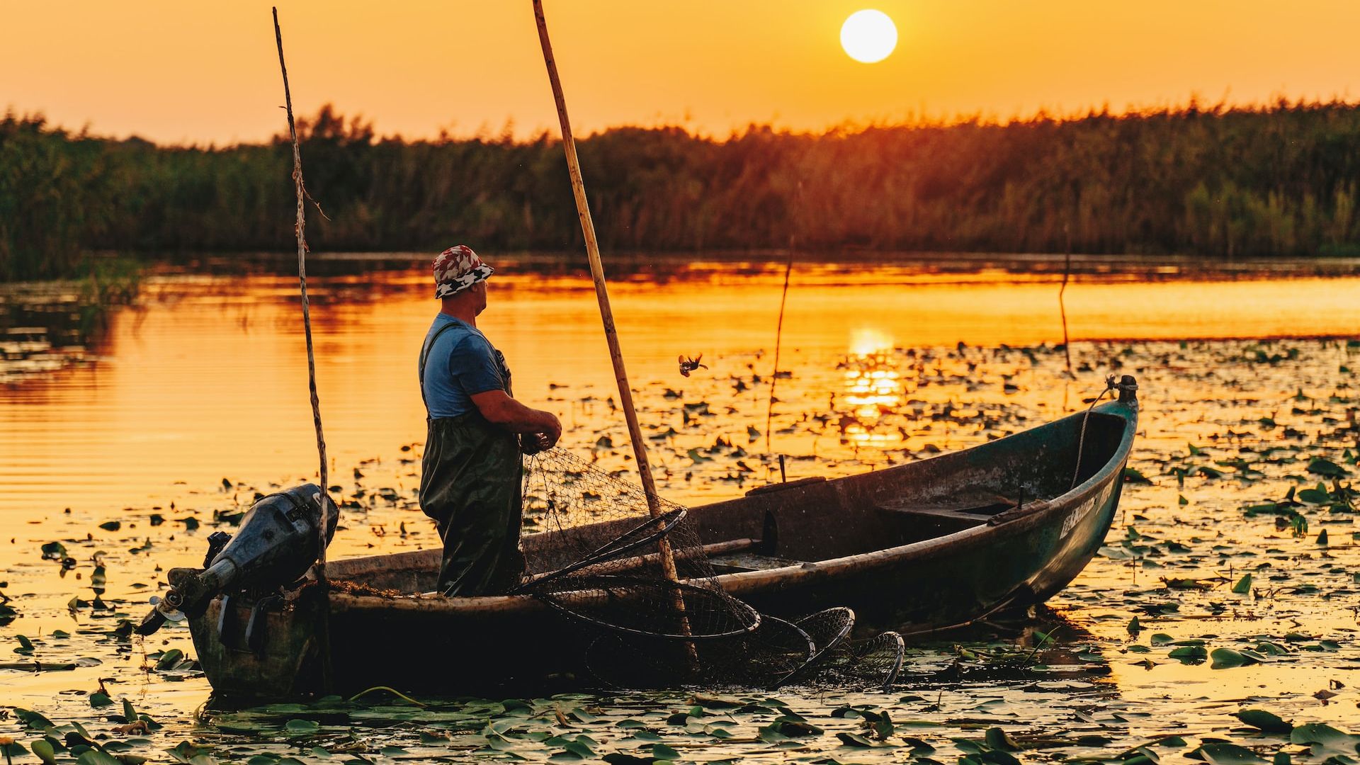 Aproape un sfert de miliard de euro pentru pescuit și acvacultură în România