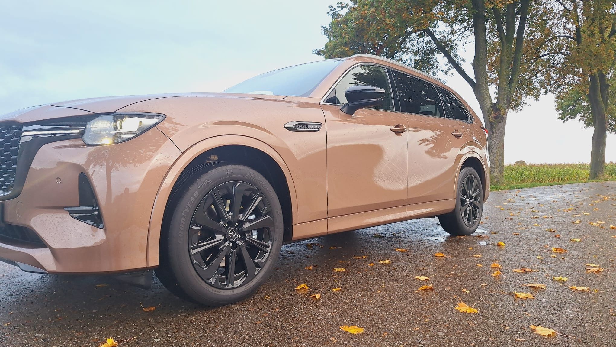 WSTestDrive | Mașini japoneze pe drumuri nemțești: o călătorie cu Mazda CX 80, fratele premium al Mazda CX 60