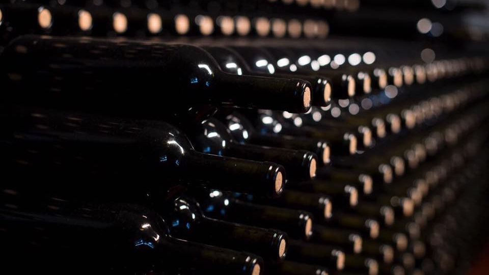 Vinul din acest an, superior față de producția din anii trecuți