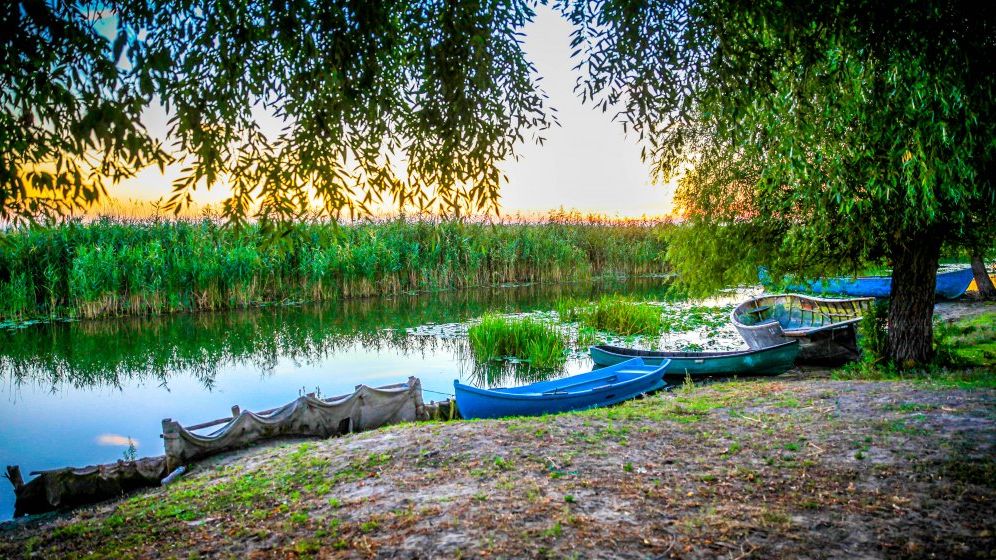 Delta Dunarii asteapta peste 60.000 de turisti adusi de navele de croaziera