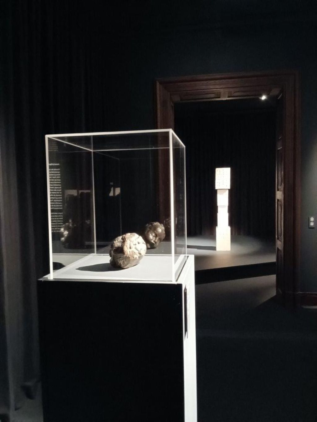 Expoziția Brâncuși de la Timișoara: capodoperele, în vizită în patria părintelui lor - Imagine 34