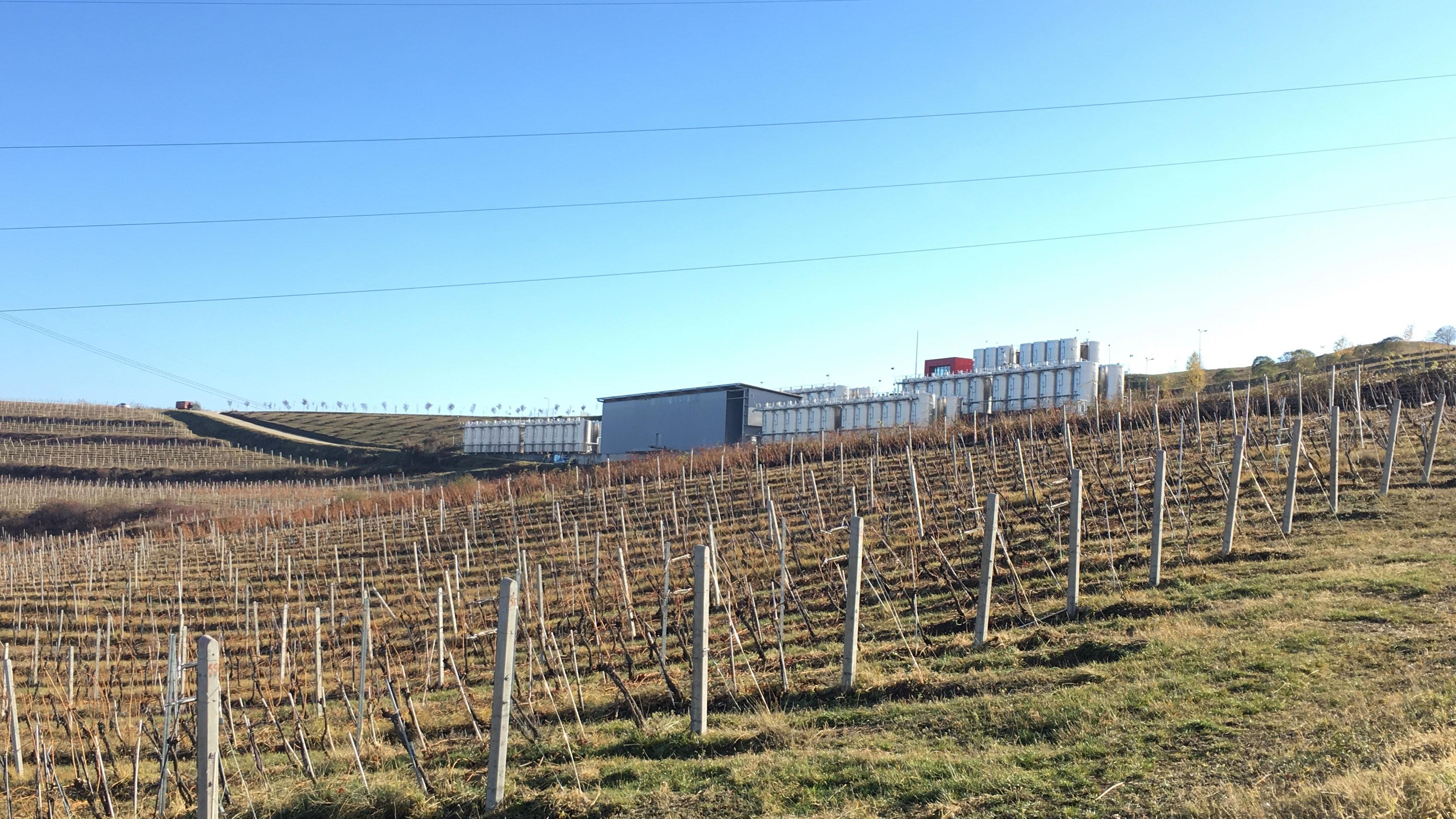 In vizita la crama Jidvei de la Tauni. Cum se produce vinul in inima Transilvaniei