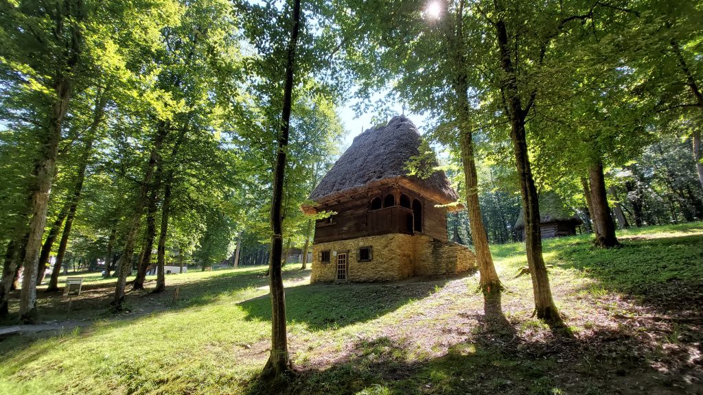 GALERIE FOTO | Cum arată cel mai spectaculos muzeu în aer liber al României - Imagine 117