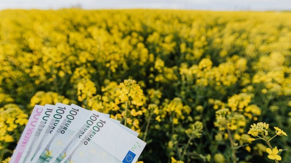Secretar de stat în Ministerul Agriculturii: Peste 2,39 miliarde de euro au intrat în conturile fermierilor până astăzi