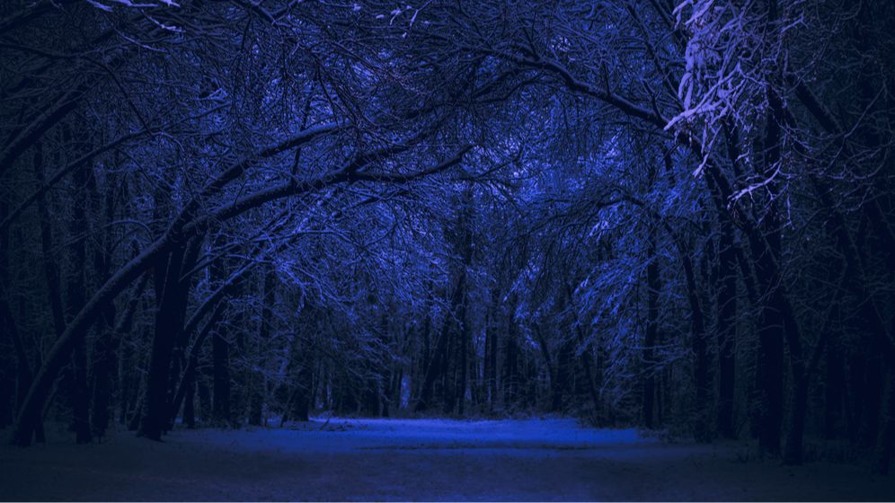 ING, despre economie și pandemie în 2021: Urmează o iarnă întunecată, după care se vede răsăritul