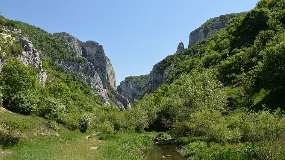 OUG cu dedicatie! Ariile protejate din Romania vor trece din administratiile ONG-urilor de mediu, in administratia Ministerului Mediului