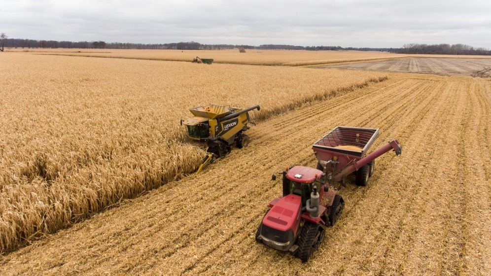 Fermierii care vor credite pentru agricultură APIA pot aplica online la Banca Transilvania