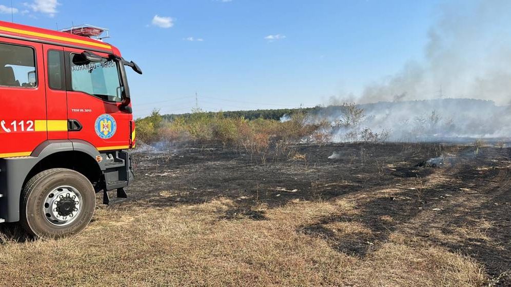 BREAKING: Incendiu de vegetație pe Autostrada Soarelui. Circulația a fost deviată