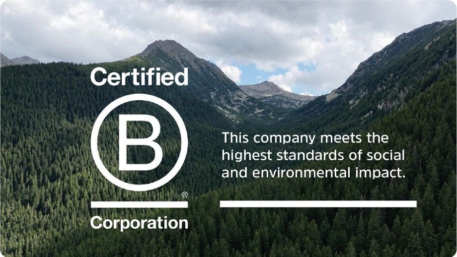 Prisum Healthcare, prima companie din industria farmaceutică din România care obține certificarea B Corp.
