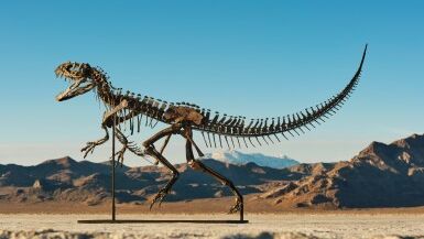 O fosilă rară de dinozaur, vândută cu peste 30 milioane de dolari într-o licitație record