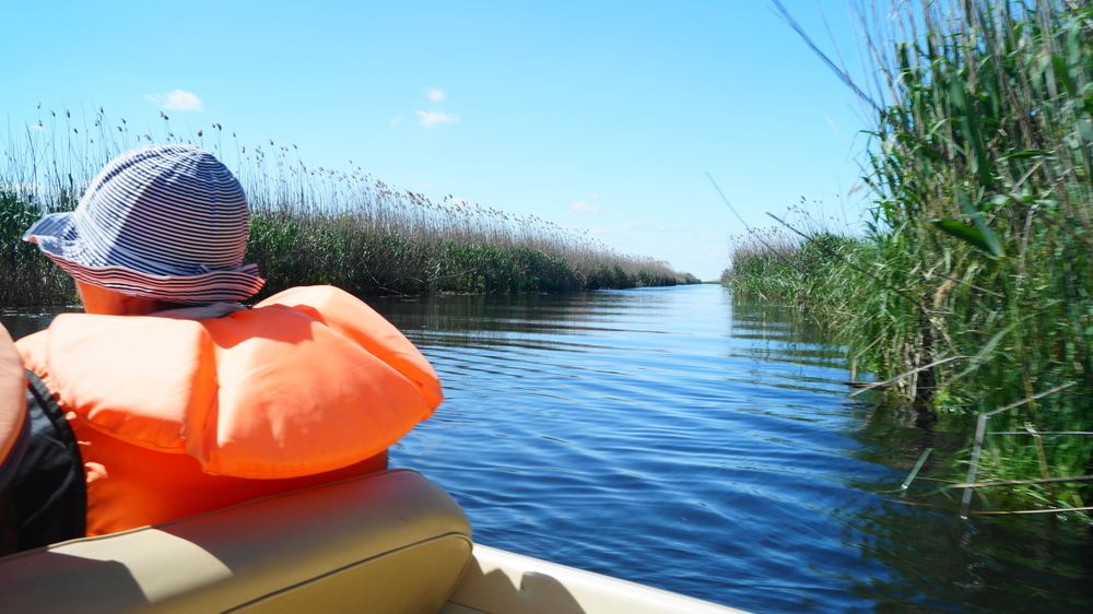 Mesajele RO-Alert sperie turiștii din Delta Dunării. Operatorii se plâng de anulări: Când vin, ne întreabă dacă apar drone