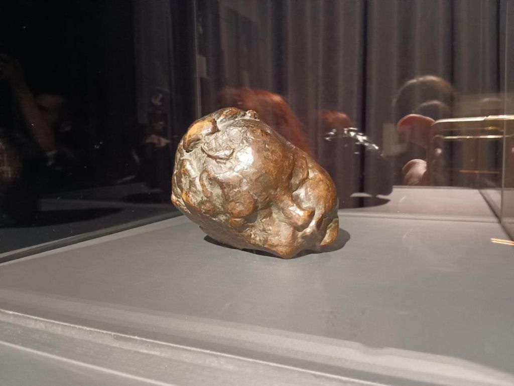 Expoziția Brâncuși de la Timișoara: capodoperele, în vizită în patria părintelui lor - Imagine 25