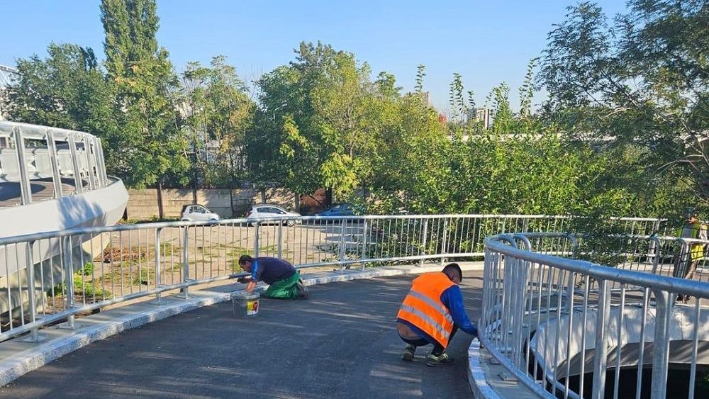 Nicușor Dan: Lucrările la Podul Grant sunt aproape gata
