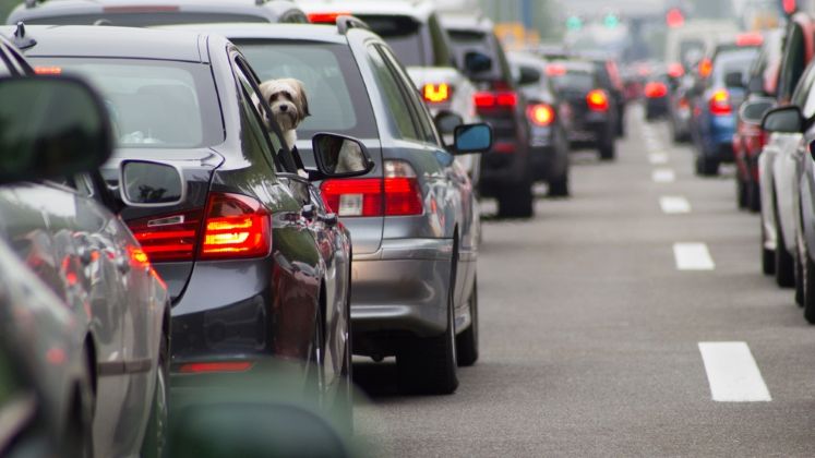 Aglomeratie pe DN1: Nervi in trafic pentru cei care au plecat in mini-vacanta de 1 Decembrie