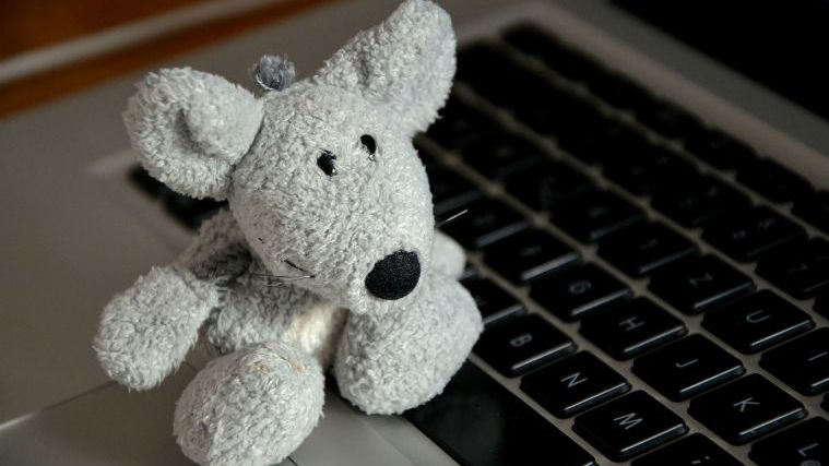 Cum arata criza globala a...numelor de domenii