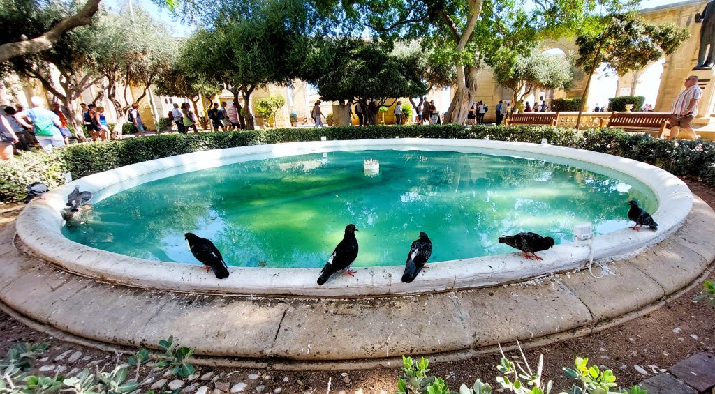 Valletta, capitala malteză care arată ca un muzeu în aer liber - Imagine 75