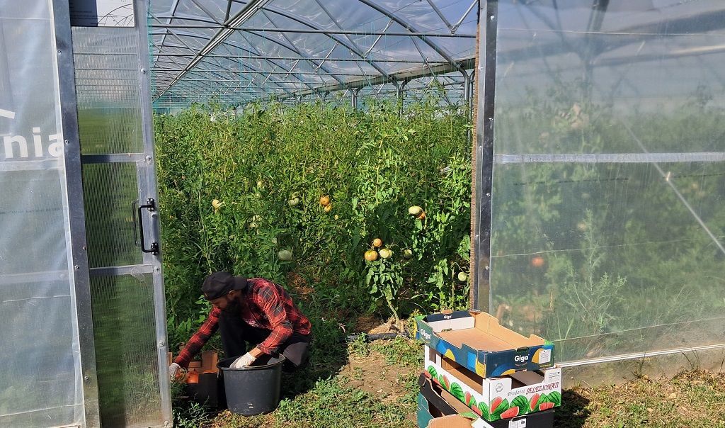 În lupta pentru fidelizarea clienților, Sezamo mizează pe Nasul roșu, ferma artizanală speciali - Imagine 13