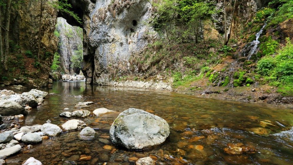 Teodorovici anunta pentru saptamana viitoare un OUG pentru a reduce TVA de la 9% la 5% in turism
