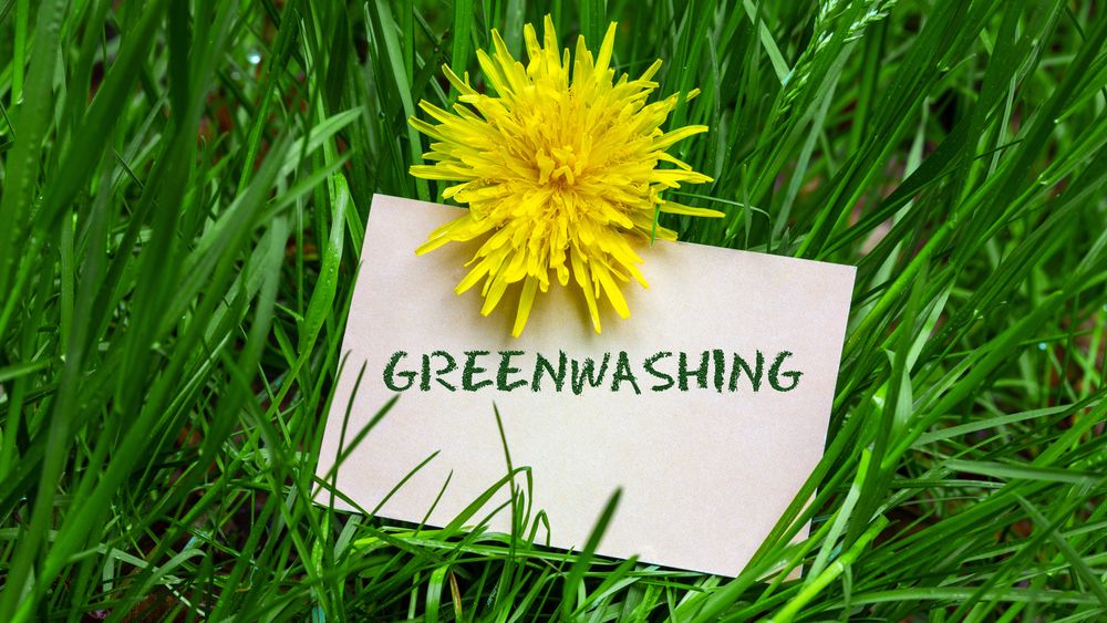 Ce înseamnă ”greenwashing” și care sunt consecințele pentru companii: Reglementarea fenomenului și introducerea de sancțiuni sunt iminente