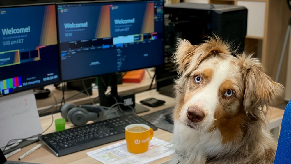 Top 12 abilități care vor da bine la CV-ul tău, în 2024. Ce poți învăța nou în anul care vine