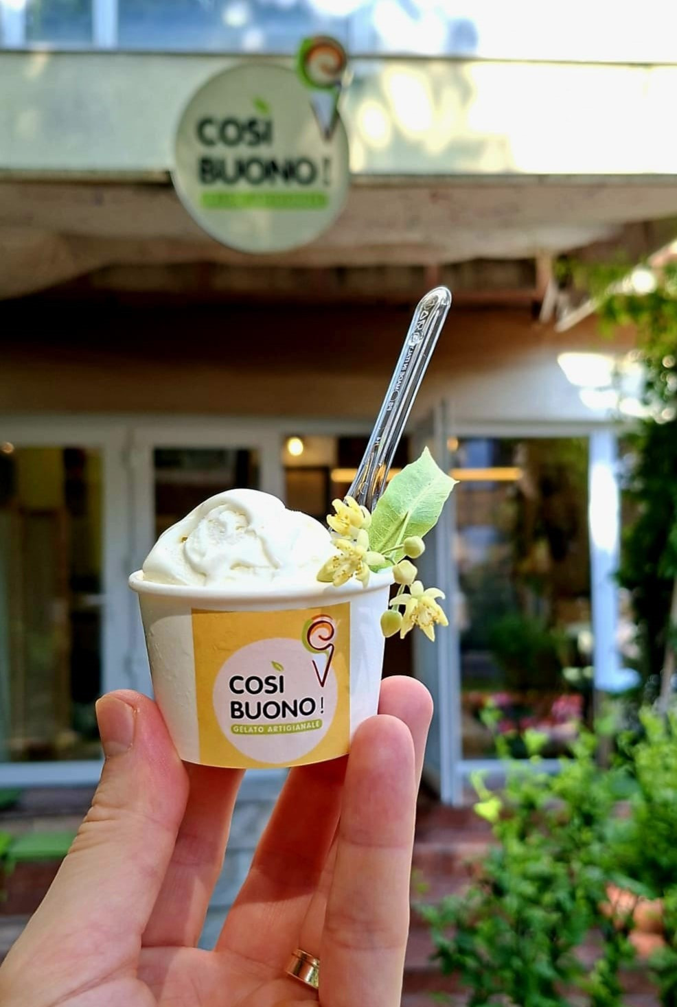 Gelateria care a transformat florile de tei într-un sortiment de înghețată artizanală