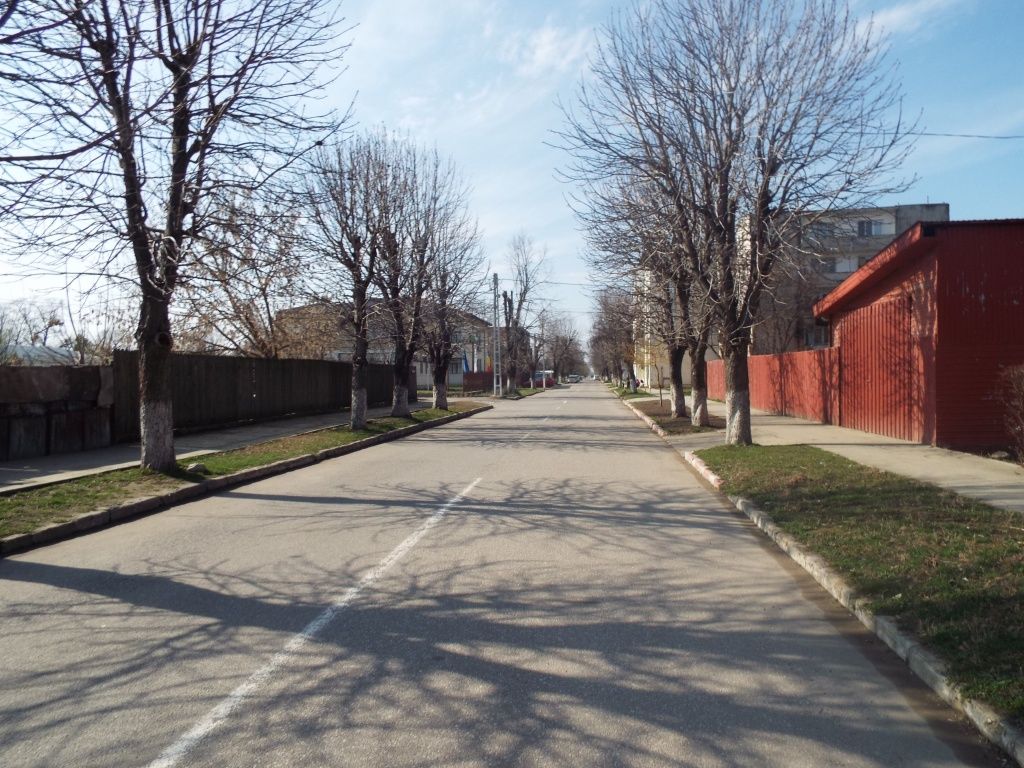 Strada din apropierea InterAgro
