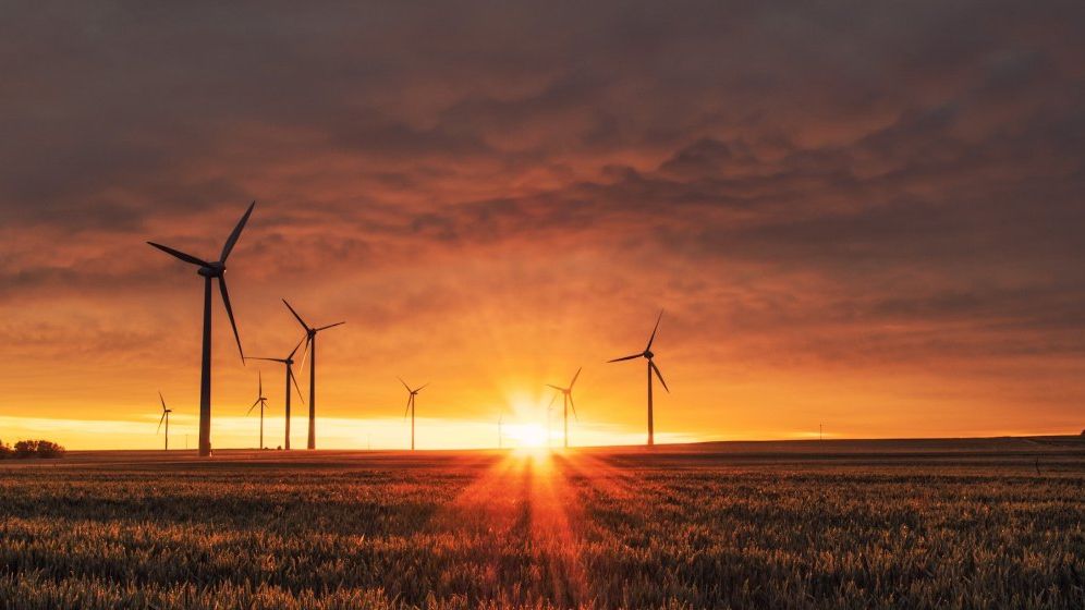 Cehii de la Rezolv Energy investesc în două noi parcuri eoliene în Constanța