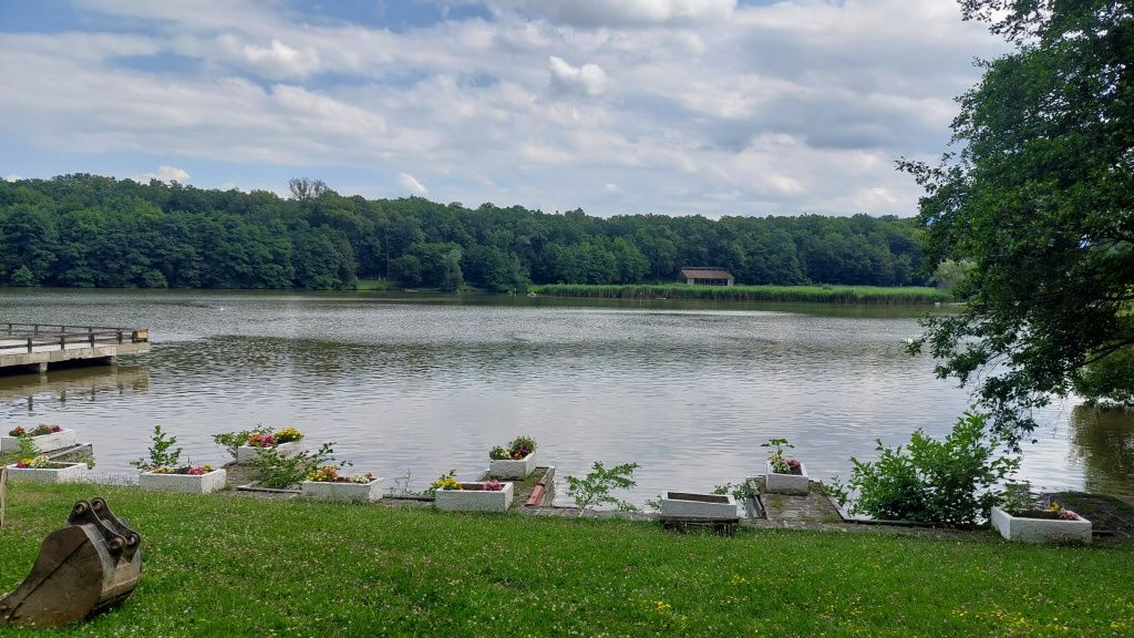 GALERIE FOTO | Cum arată cel mai spectaculos muzeu în aer liber al României - Imagine 36