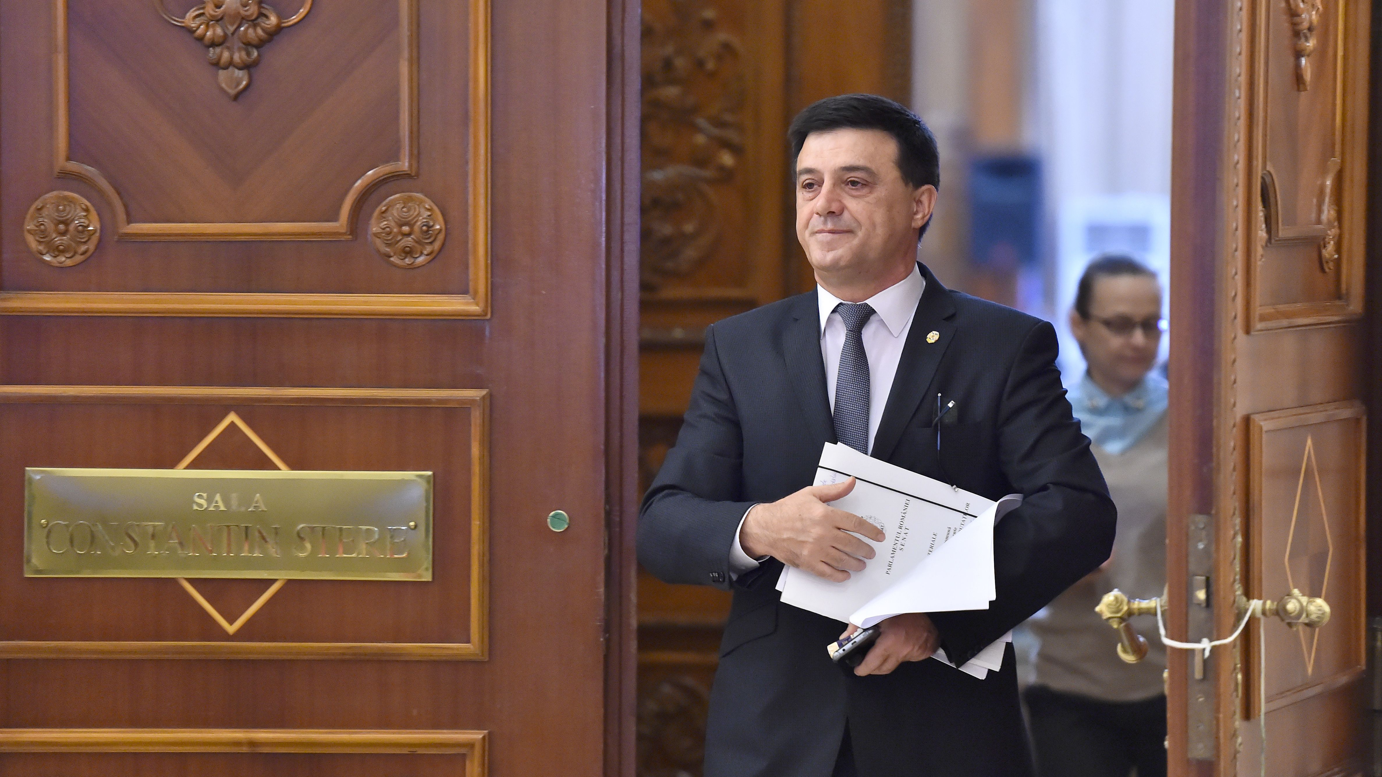 Badalau (PSD): La CEx trebuie stabilite limitele de competenta ale guvernului si ale partidului